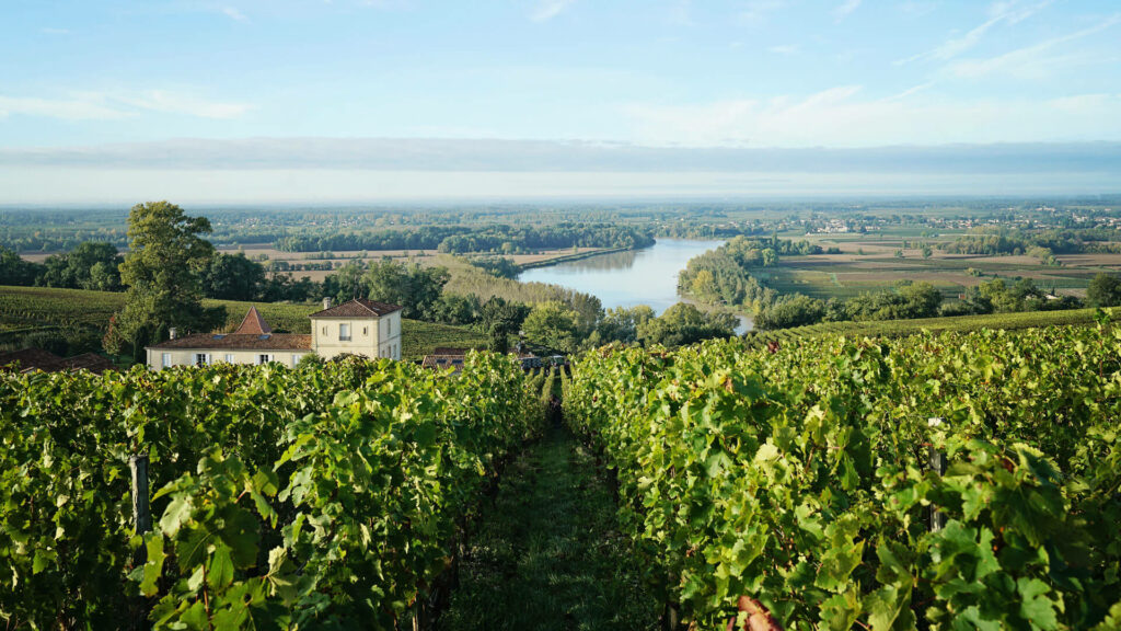 La photo montre des vignes avec en contrebas une rivière. Sur la gauche on aperçoit le batisse du Château Chantemerle, propriété des Vignobles Cruchon