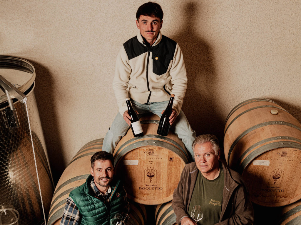 alt="Vignoble du Domaine Pasquetto Limoux sur 15 hectares"