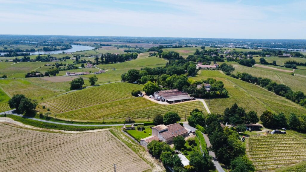 Le vignoble fronsadais.