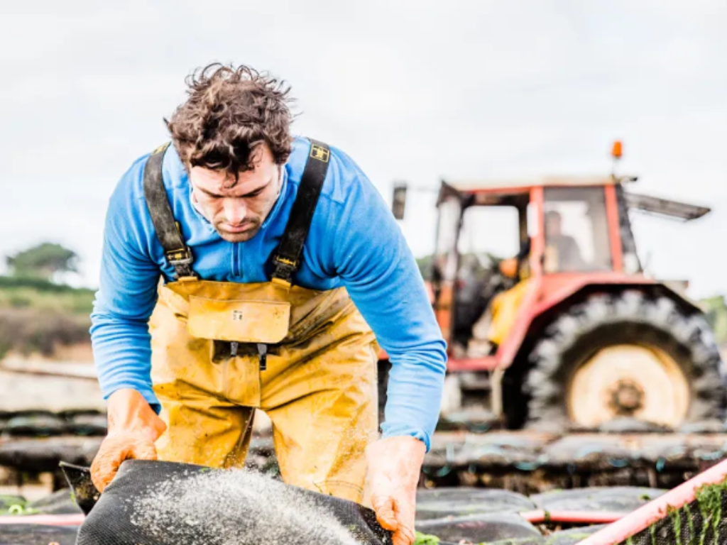 Huîtres de Oysters Shop situées au Cap Ferret