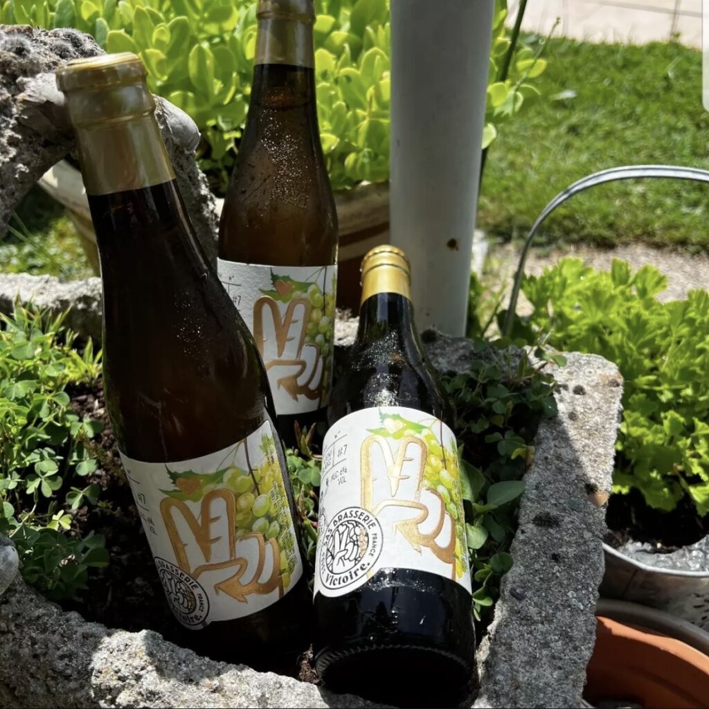 Bouteilles de la Brasserie Victoire issues de vendanges.