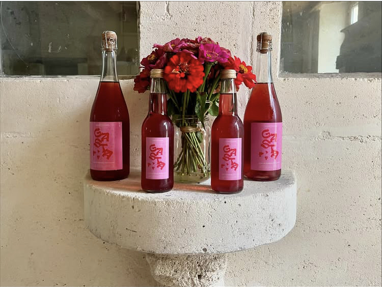 Exposition des bouteilles de vin pétillant