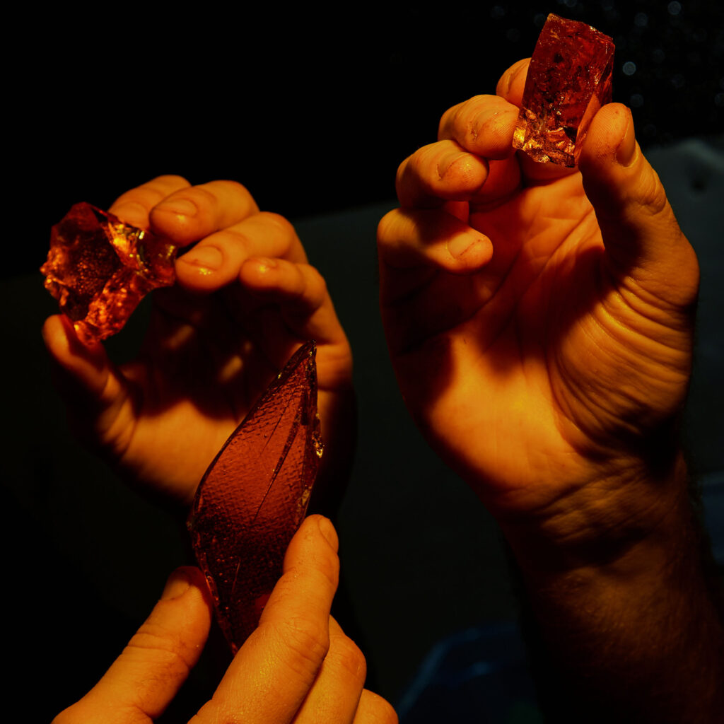mains qui tiennent du chocolat Darricau